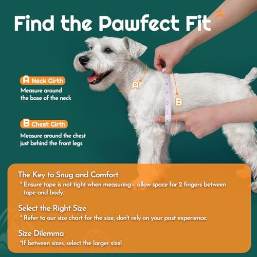 Eagloo Small Dog Harness and Leash Set, Step in Medium Small Puppy Pet Vest - Image 2