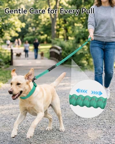 Joytale Tactical Bungee Dog Leash, Shock Absorbing No Pull - Image 3