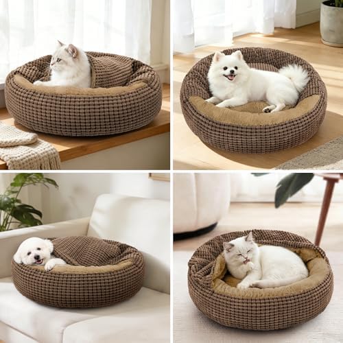Small Dog Bed with Attached Blanket, Cozy Donut Cuddler Anti-Anxiety Hooded Pet - Image 5