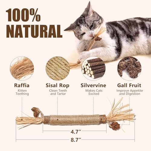 SEKAM Cardboard Cat House with Scratcher/Catnip, Kitty Coffee Shop - Image 5