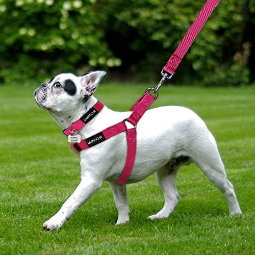 No Pull Dog Harness, Leash & Collar Set, Adjustable Step-in Vest - Image 5