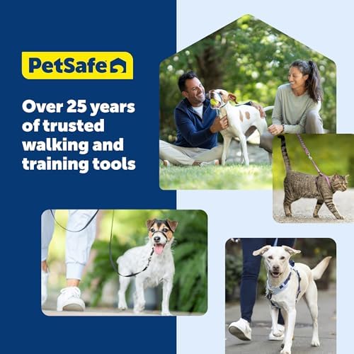 PetSafe Nylon Dog Leash, 3/4 in x 6 ft - Image 7