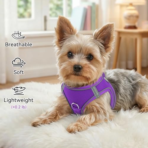 Joytale Step-in Dog Harness, Soft Breathable Mesh - Image 4