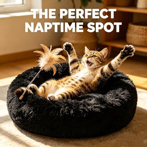 Cat Beds for Indoor Cats - Image 2