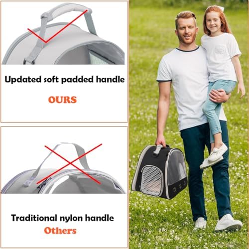 Ventilation Lizard Carrier for Bearded Dragon, Guinea Pig Carrier, Guinea Pig - Image 5