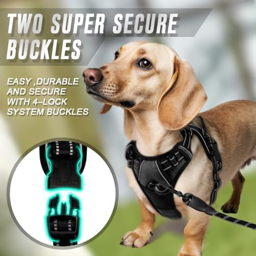 BARKBAY Dog Harness No Pull for Small Sized Dog Front Back Clips, Dog Vest - Image 4
