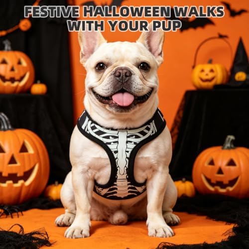 KOOLTAIL Halloween Dog Harness and Leash Set - Image 2