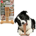 SPOT Bam-Bones Plus T-Bone Dog Chew, 30-60 lb Heavy Chewers by SPOT