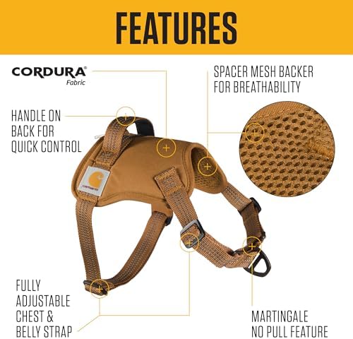 Carhartt Nylon Duck No Pull Dog Harness Harbor Teal M - Image 2