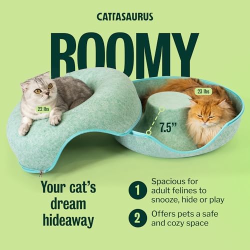 Cattasaurus Peekaboo Cat Cave Donut - Image 4