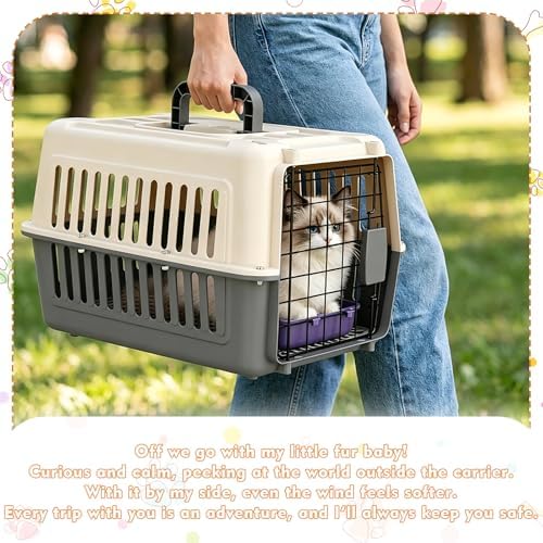 Hard Plastic Pet Carrier 2 Set Small Dogs and Cats Up to 13 lbs Hard-Sided Dog - Image 7
