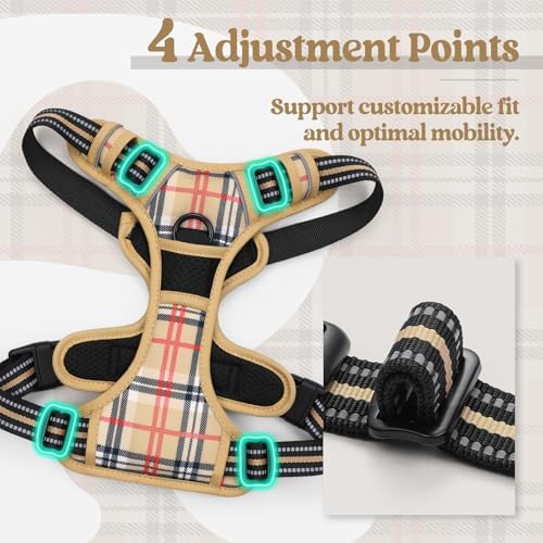 rabbitgoo Dog Harness, No Pull for Large Dogs - Image 4