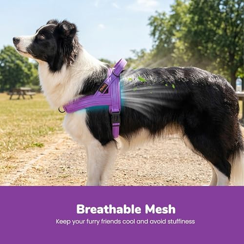 Didog No Pull Dog Harness for Medium Dogs, Breathable Mesh Padded - Image 2