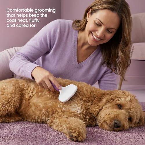 Poodle Pet Slicker Brush - Image 2
