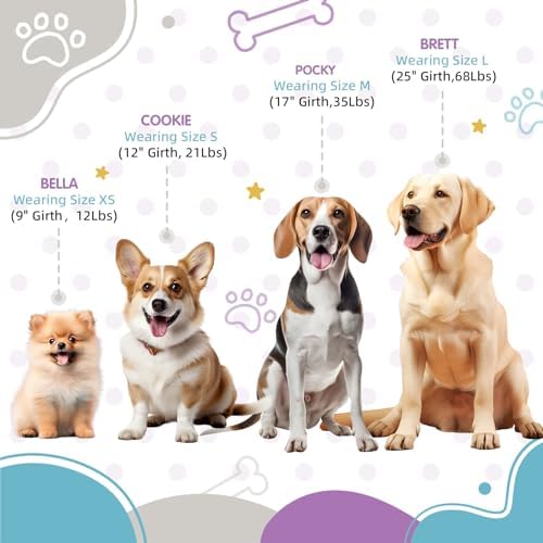 Medium Dog Harness, Adjustable Tri-Color No Pull, Heavy Duty, Easy Walk - Image 2