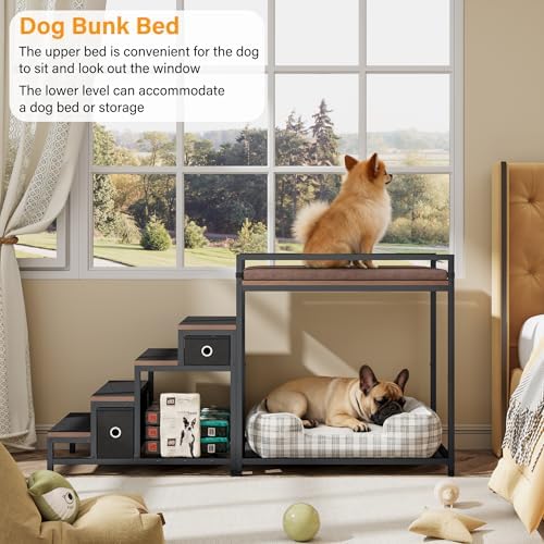 kepptory Dog/Cat Window Perch - Image 4