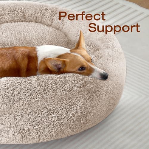 JOLLYVOGUE Dog Bed, Calming Anti-Anxiety Large Dog Bed, Fluffy Donut Cushion - Image 2