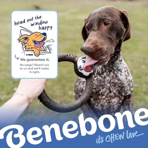 Benebone Blueberry Small 4-Pack Dog Toys, Under 30 lbs - Image 7