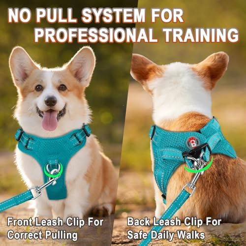 Dog Harness Step in Dog Vest Harness, Reflective Adjustable Puppy No Pull - Image 5