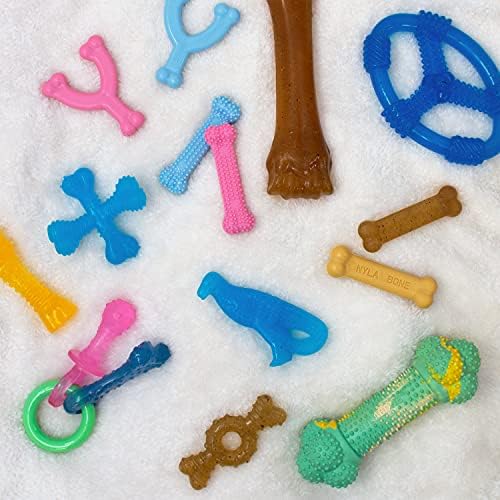 Nylabone Puppy Chew Teething Ring Bone Dog Toy, Chicken Flavor - Image 6