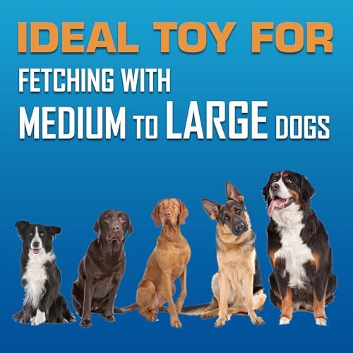 Nerf Dog Atomic Flyer Outdoor Dog Toy, 10 Inch Flying Disc Dog Fetch Toy - Image 6