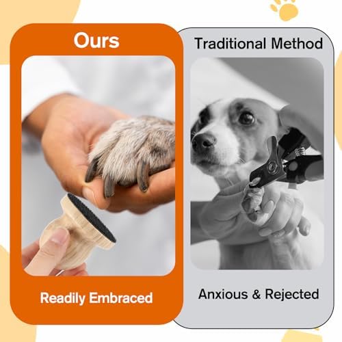 Dog Nail File with Replaceable Filing Disc Dog Nail File Scratch Board - Image 4