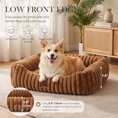 ZOMISIA Orthopedic Dog Bed for Medium Dogs - Image 4