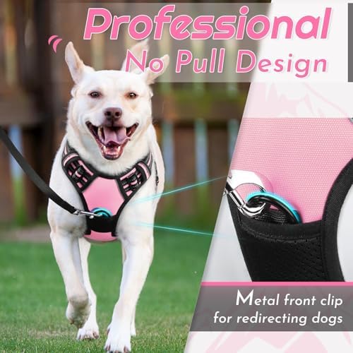 Eagloo Dog Harness for Small Dogs, No Pull Pet Vest - Image 3