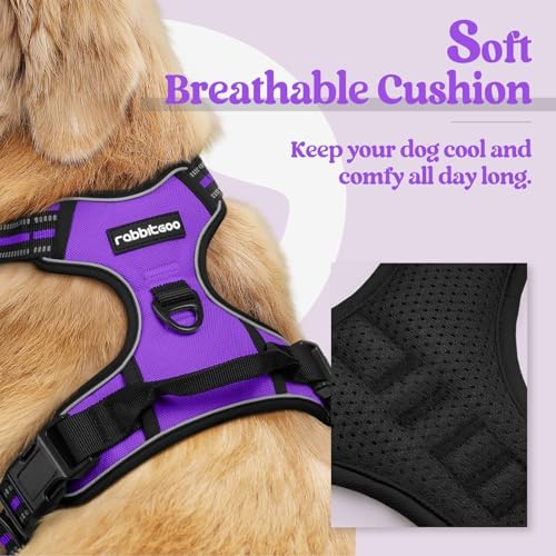 rabbitgoo Dog Harness, No Pull Medium Sized - Image 2