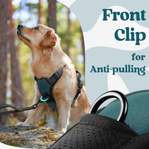 rabbitgoo Dog Harness Small Sized, Updated Easy On & Off - Image 7