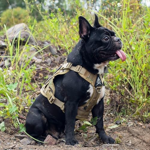 OneTigris Tactical Dog Harness - Image 4