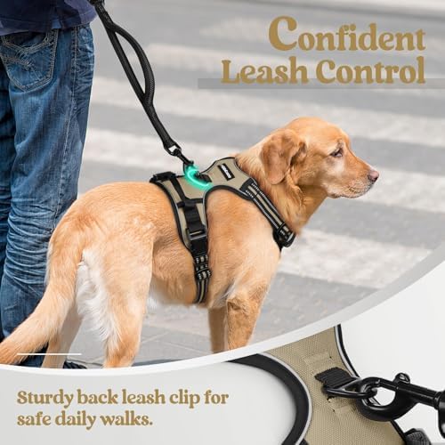 rabbitgoo Dog Harness, No Pull Medium Sized - Image 6