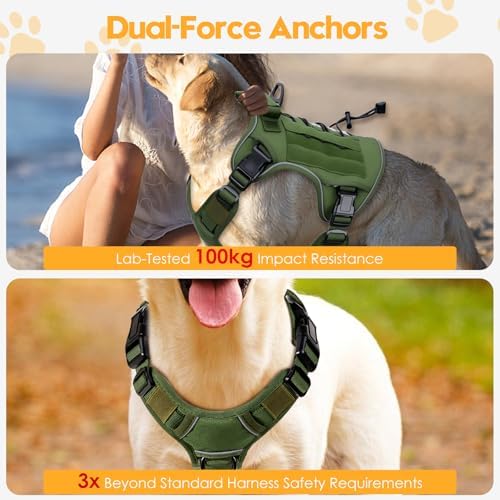 Heavy-Duty Tactical Dog Harness - Image 4