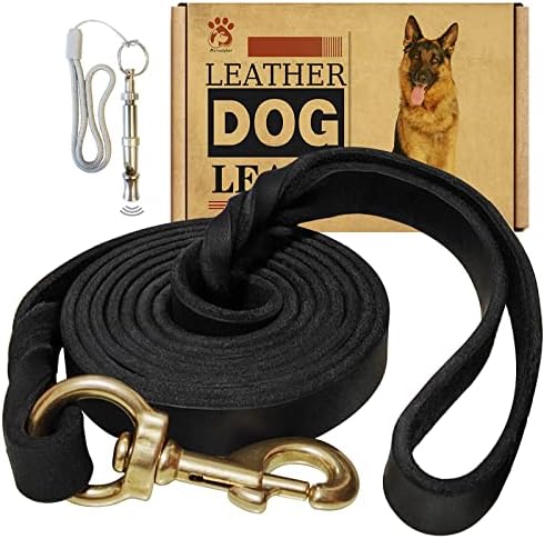 Leather Dog Leash - 6ft x 3/4 inch by Lovedogsasmuchasyoudo
