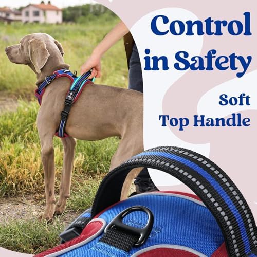rabbitgoo Dog Harness Small Sized, Updated Easy On & Off - Image 4
