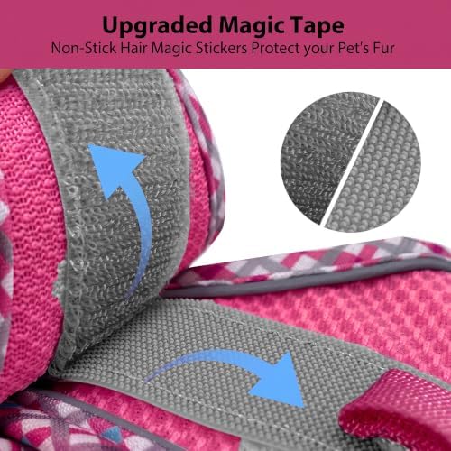 AIITLE Breathable Dog Harness Small Sized and Leash Set - Image 2