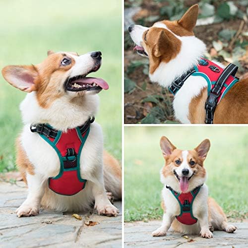 PHOEPET Upgraded No Pull Dog Harness, Reflective Adjustable Vest - Image 7