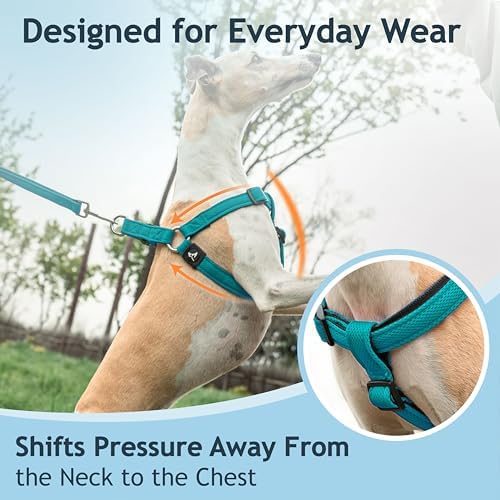 Kruz No Pull Dog Harness Heavy-Duty Pet Harness - Image 6