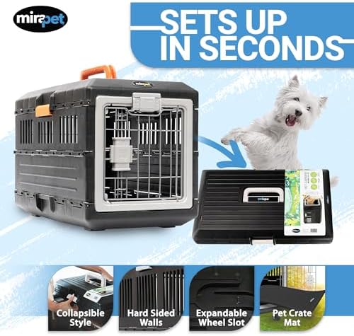 Collapsible Pet Carrier for Small Cats & Dogs, 21.5"L x 12"W x 14"H - Image 2