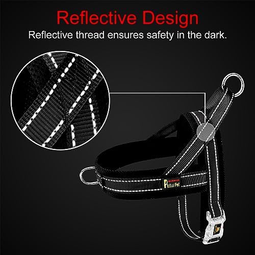 Plutus Pet No Pull Dog Harness for Small Dogs, Breathable Mesh Padded - Image 4