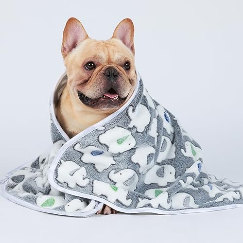 Luciphia 3 Pack Cute Dog Blankets Soft Fleece - Image 5
