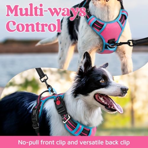 rabbitgoo Dog Harness Medium Sized, No Pull 3 Buckles Easy On & Off - Image 3