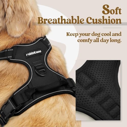 rabbitgoo Dog Harness, No Pull for Small Dogs - Image 2