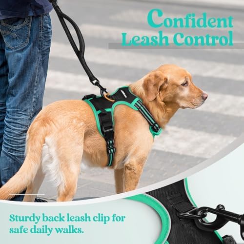 rabbitgoo Dog Harness, No Pull Medium Sized - Image 6