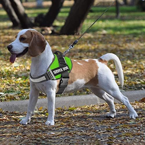 JSXD Dog Harness, No-Pull Service Dog Harness - Image 6