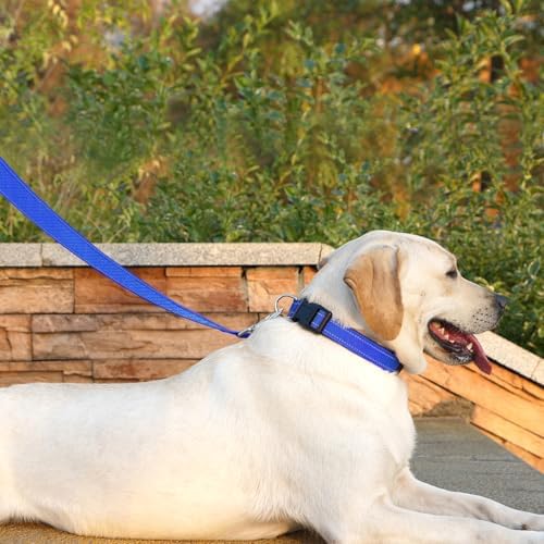 6 FT Basic Dog Leash for Large Dogs, Padded Handle - Image 3