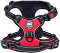 PoyPet No Pull Dog Harness Large by PoyPet