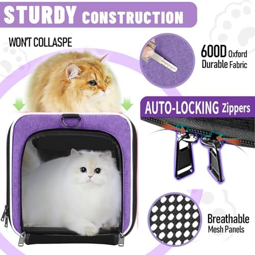 GAPZER Large Cat Carrier Soft, Collapsible Travel Pet Carry Bag, Small Dogs - Image 7