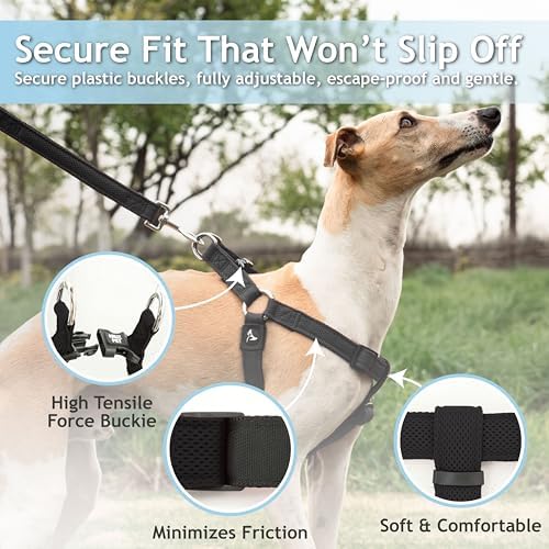 Kruz No Pull Dog Harness Heavy-Duty Pet Harness - Image 2