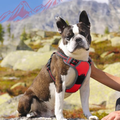 Eagloo Dog Harness for Medium Sized Dogs, No Pull Vest - Image 2